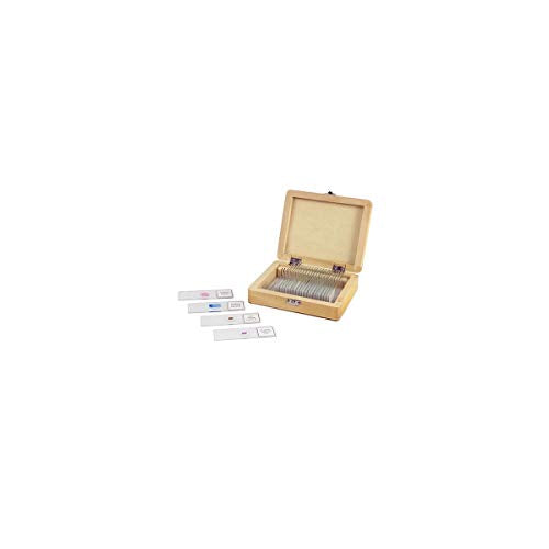 Celestron Prepared Microscope Slides, 25-Piece Specimen Collection - size: Prepared Slides - 25 piece box