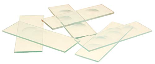 Eisco Concave Microscope Slides, Glass, 15 µL Well, 75 x 26 mm, 10 Pack