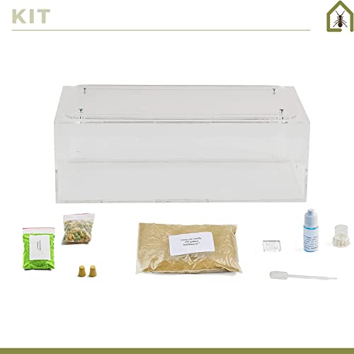 AntHouse - Natural Sand Ant Farm | Acrylic Big Starter Kit | Educative Ant Hill | 11.81 x 5.91 x 3.94 in