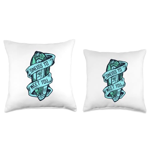 Best Rocks And Minerals Guide Kit Collection Gifts Gneiss to Meet You Geologist Rockhounding Mineral Collector Throw Pillow, 16x16, Multicolor - size: 16x16