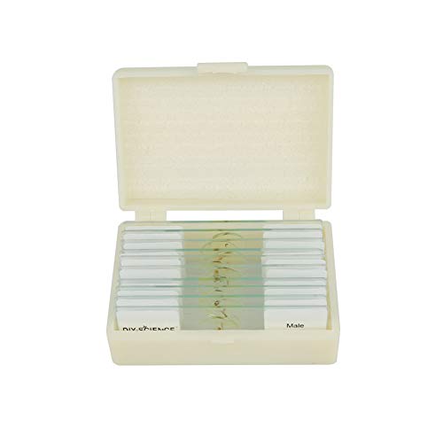 Prepared Whole Insects Microscope Slides Set, 10pcs Specimens for Kids Students Biology Class, Educational Gift (Whole Insects) - style: Whole Insects