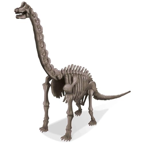 4M Dig a Brachiosaurus Skeleton Kit for Kids Ages 8-12 – Jurassic Fossil Excavation Set with 14 Realistic Bones, STEM Paleontologist Digging Kit with Hammer, Chisel & Brush, Educational Gift