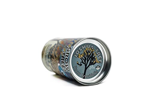 Joshua Tree | Seed Grow Kit | The Jonsteen Company