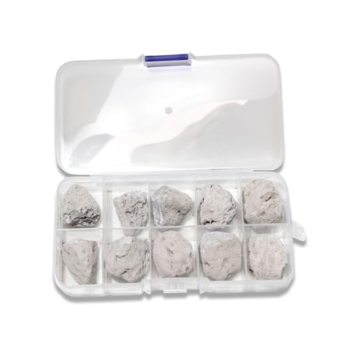 Pumice Rock Specimens (10 Pieces) - Metamorphic Rocks for Science Classrooms - Geologist Selected & Hand Processed - Class Pack, Education Collection