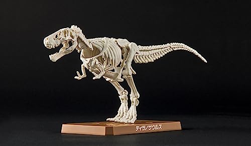 Bandai Hobby - Plannosaurus - #01 Tyrannosaurus, Bandai Spirits Dinosaur Model Kit