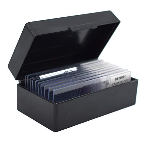 Eisco Onion Mitosis Slides, Prepared Microscope Slides, 75 x 25mm, 10 Pack