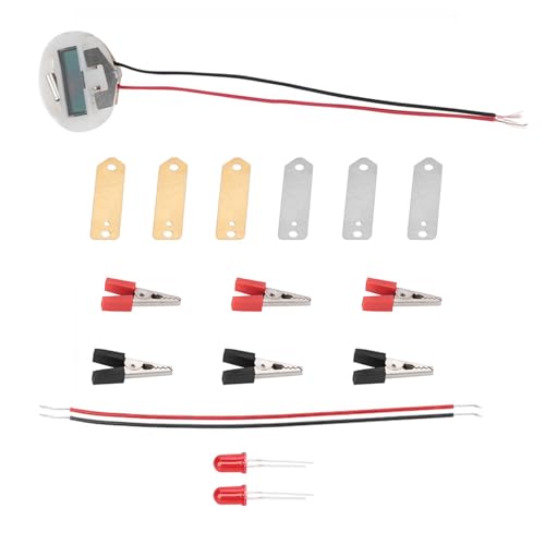 Bio Energy Science Kit, Potato Lemon Battery Experiment Set for Kids, with Digital Clock and Light Bulb, Green Energy Learning Project with Zinc Copper Plates Wires