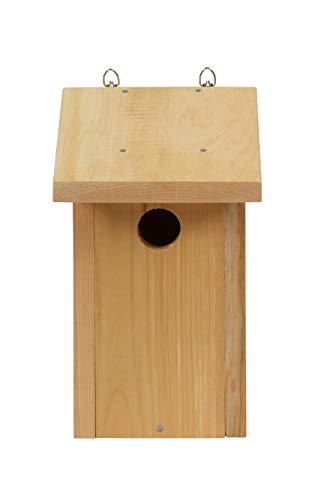Hearthside Classics - DIY Build-Your-Own Bluebird House Kit - All Parts Included