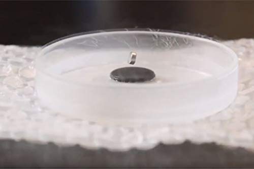 Economy Superconductivity Kit