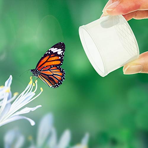 Thyle 60 Pieces Bug Viewer Bug Cage Catcher Magnifying Insect Box Bug Magnifier Container Bug Catcher Cage Nature Jar Bulk for Science Class Exploration Backyard Tools Outdoor