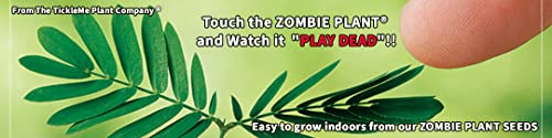 Zombie Plant Coloring & Activity Book for Kids: Grow This Fun Interactive Plant that Plays Dead When You Touch it! - Includes 3 Packets Seeds to Easily Grow Your own Indoors yearround