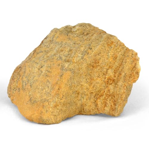 EISCO 12PK Raw Dolostone, Sedimentary Rocks - Approx. 1" - Geologist Selected & Hand Processed - Great for Science Classrooms - Class Pack