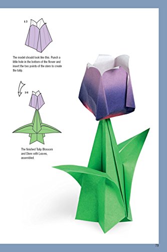 Origami Made Easy Kit: Step-by-Step Lessons for the Beginning Folder: Kit with Origami Book, 14 Projects, 60 Origami Papers, & Video Tutorial