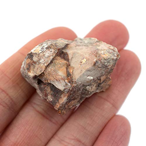 EISCO Raw Breccia, Sedimentary Rock Specimen - Approx. 1" - Geologist Selected & Hand Processed - Great for Science Classrooms (1)