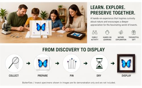 Insect Pinning Kit for Beginners with Walnut Display Case, Butterfly & Bug Specimen Mounting Kit, EVA Foam Spreading Board, Insect Pins, Tweezers, Scissors & Wing Pressing Paper - size: Kit with Walnut Display Case
