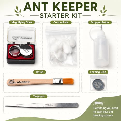 StackCore Stackable Series - Black Habitat PRO Combo (Flat Ant Nest) with Starter Tool Kit - size: Black Habitat Pro Combo