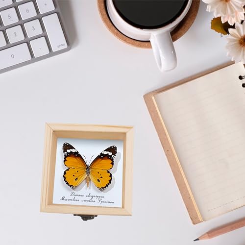 20 PCS Insect Specimen Tools Kit 4 Wooden Display Case Box with Clear Top 10 Sheets Thin Tracing Paper 2 EVA Foam Pinning Board 200 Pins 2 Tweezers 1 Scissors Tools for Winter Bugs Collection