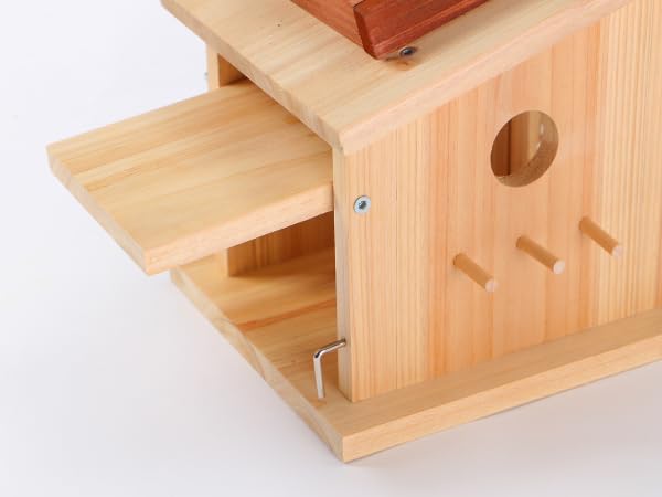 Modern Birdhouse Woodworking Kit, Build Your Own DIY Bird House Kit for Kids and Adults, DIY Woodcraft Building Projects with Paint Set - style: Modern