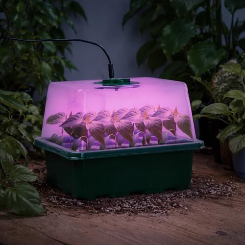 Bonviee Seed Starter Trays with 12-LED Grow Lights, Green, 5 Pack - color: Green, size: 5 Packs