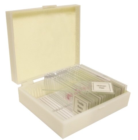 VSH107 Prepared Slide Set – Microbial World (Set of 15)