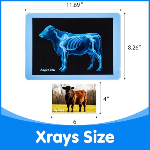 10 Pcs Farm Animal Xrays - Light Table Accessories - style: Farm Series
