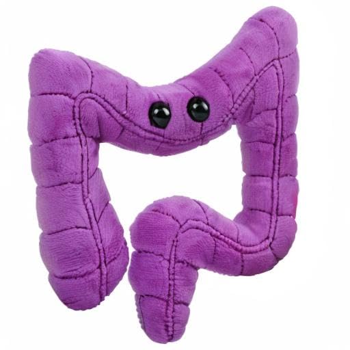 GIANT MICROBES Colon Plush, Gastroenterology Gifts, Organ Plushies