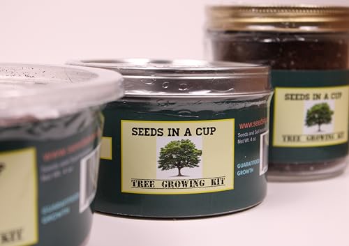 Tree Grow Kit - Green Apple - - Educational Value - Easy Instructions - Quality Apple Seeds - Premium Soil - Choice of Planter Cup - Good Value - Great for Beginners (Glass Planter)