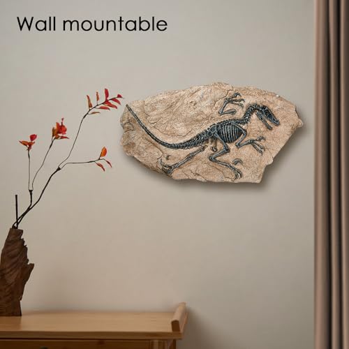 Resin Dinosaur Fossil Sculpture – Velociraptor Skeleton Desk & Wall Decor