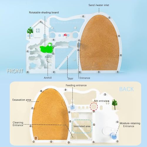 Ant Farms with Forage Box, Large Sand Ant Colony Observation Kit