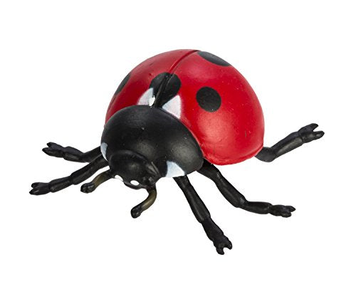 Safari Ltd. Life Cycle of a Ladybug - Educational Toy Figurines - Miniature Beetle Lifecycle Collection for Boys, Girls & Kids Age 4+ - color: Multicolor