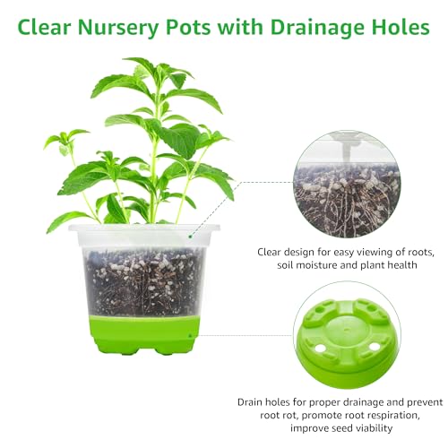 MIXC Clear Nursery Pots with Silicone Base, 5-Inch, 30-Pack - color: Green, size: 5 Inch