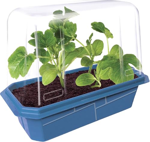 Unique Gardener Melon Plant Seeds Kit, Grow Sweet Mini Melons Indoors in Small Spaces, Easy Indoor Plant Seeds with Compact Vines & Delicious Fruit, Garden Seeds for Planting Suitable for Beginners - style: Melon