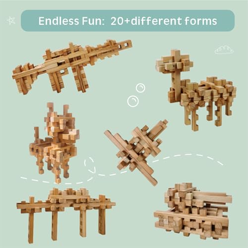 STEM Wooden Building Blocks - 20+ Shapes, 3D Puzzle, Brain Games, Educational Toys Gift for Kids and Classroom,Montessori STEM Toys for Ages 5+ and Adults (20 in 1 Premium Version) - style: 20 in 1 Premium Version