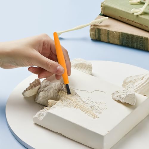 3 Sets Dino Fossils Dig Kit Archaeological Excavation Tools for Kids, Plastic Digging Hammer Chisel Brush Scraper Magnifier Science Kits for Dinosaur Eggs and Gem - size: Small