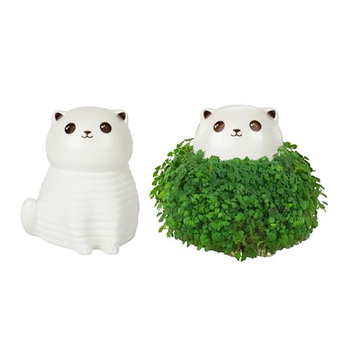 Gift Republic Cat Chia Planter Desktop Sprouting Chia Animal Fun Grow Kit - size: Cat