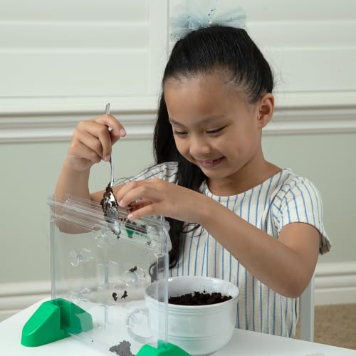 Educational Insights Sprout & Grow Window - See-Through Sprouts Growing Kit, Kids Gardening Set, Kid-Friendly Science Kits, Root Viewer, Gardening Kit for Kids, Indoor Classroom Planter, Ages 5+
