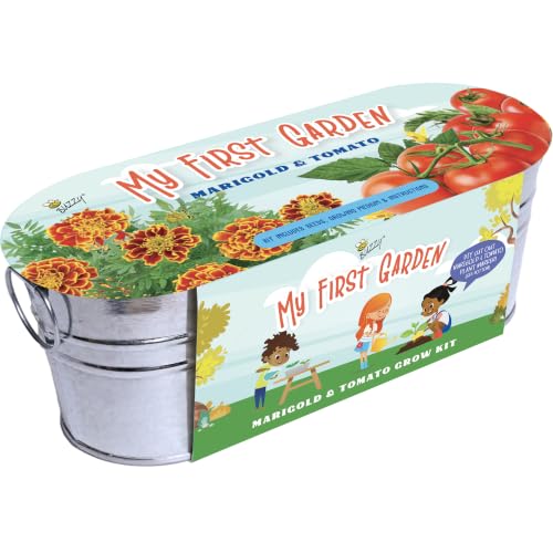 Buzzy Seeds My First Garden Grow Kit, Metal Planter, Tomato & Marigold