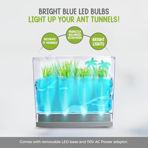 Lighted Gel Ant Habitat Kit with Live Ants (1 Tube) Eco-Terrarium Bundle