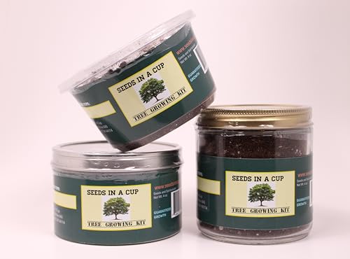 | Plant Grow Kit | Pecan Tree | Tree Seed Starter Kit for Kids & Adults | Urban Garden Grow Kit | Guaranteed to Grow | Best Grow Your Own Plant Gardening Gift (Plastic Planter)