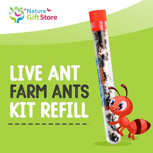25 Active Live Ants for Ant Farms (1 Tube), Live Arrival, Shipped Now - style: 25 Live Ants