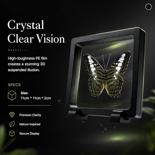 1pc Real Butterfly Specimen PE Film Suspension Box Elegant Black Frame Keepsake for Nature Lovers Scientific Specimen Display (Parthenos Sylvia Butterfly) - color: Parthenos Sylvia Butterfly