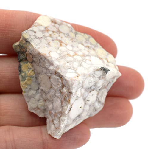 EISCO 6PK Raw Conglomerate, Sedimentary Rock Specimens - Approx. 1" - Geologist Selected & Hand Processed - Great for Science Classrooms - Class Pack