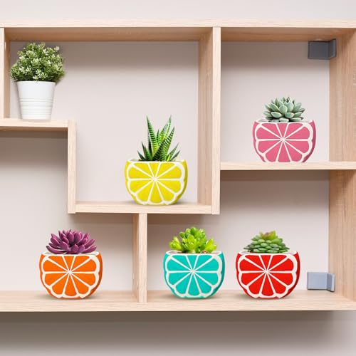 Pasimy 6 Set Ceramics to Paint DIY Succulent Planter Pots, Orange - style: Orange