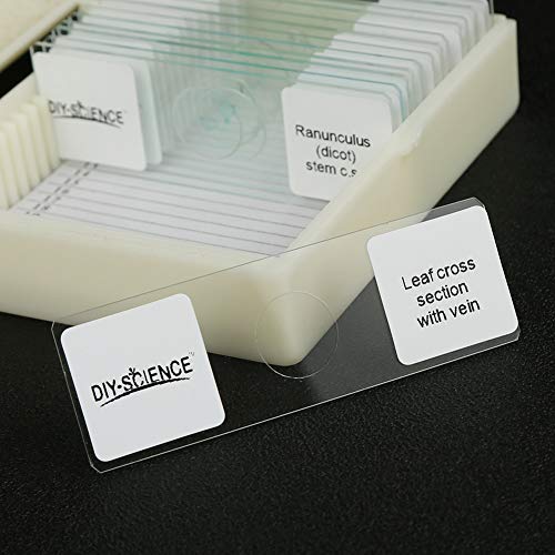 Prepared Microscope Slides Set for Apologia Biology, Pack of 16pcs Specimens Specifically for Biology Course (Apologia Slides) - style: for Apologia Biology Microscope Slides