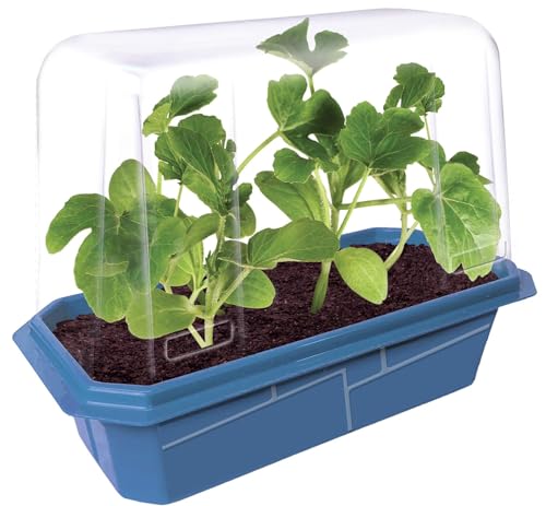 Unique Gardener Grow Your Own Watermelons, Premium Plant Seeds for Indoor Planting & Outdoor Gardening, Mini Live Sweet & Delicious Watermelon Plants Weigh 6-10 lbs, Just Add Water - style: Watermelons