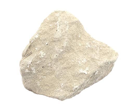 EISCO 12PK Raw Limestone Chalk, Sedimentary Rock Specimens - Approx. 1" - Geologist Selected & Hand Processed - Great for Science Classrooms - Class Pack Labs