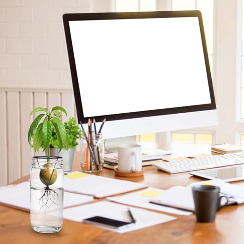 Tyqour 3 Pcs Avocado Tree Growing Kits - Avocado Seed Starter Vase Rack, Seed Holder for Mason Jar of Wide-Mouth, Triangular Metal Bracket for Home Office, Gardening Lovers Gift (Black,Without Jar)