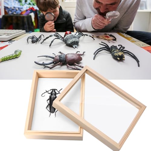 Saihisday Insect Display Case Box Small Bug Display Case Shadow Box