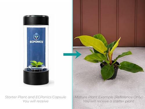 Plant Starter Survival Kit by ECPonics – Acclimation Capsule System for New & Fragile Plants, Humidity Control for Cuttings, Seedlings & Rare Plants