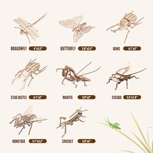 ELX Wooden 3D Puzzles for Kids 6+, 8 Piece Set Insect Animal Models, Wood Building Kits DIY Wooden Crafts Stem Toys peresents for Kids and Adults - color: Insects Puzzles